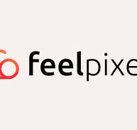 FEELPIXEL DESIGN PVT LTD